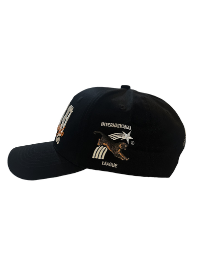 Lifestyle Snapback Cap [Black]